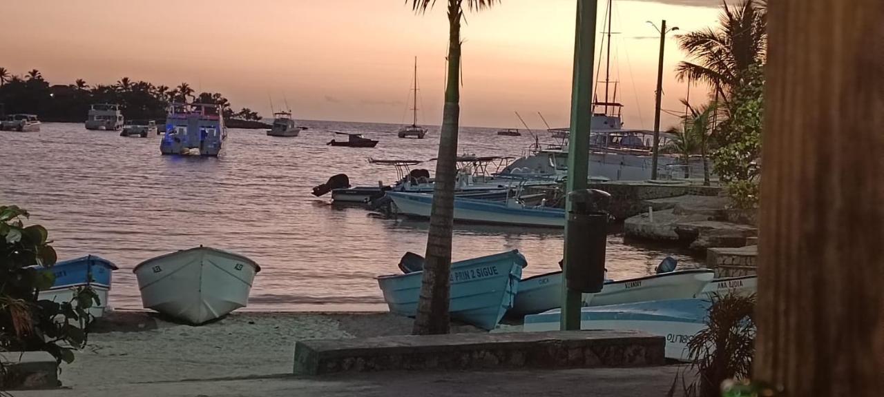 Venere Bayahibe By Mireya Daire Dış mekan fotoğraf